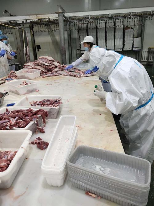 通辽食品生产领域开展冷冻冷藏肉品排查专项行动