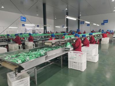 长沙:将食品安全视为企业的生命线